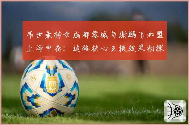 韦世豪转会成都蓉城与谢鹏飞加盟上海申花：边路核心互换效果初探