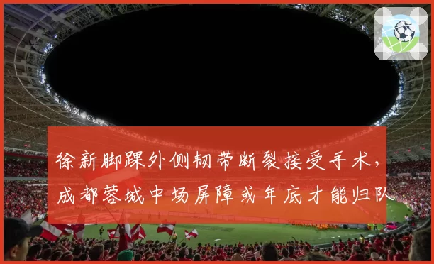 徐新脚踝外侧韧带断裂接受手术,成都蓉城中场屏障或年底才能归队