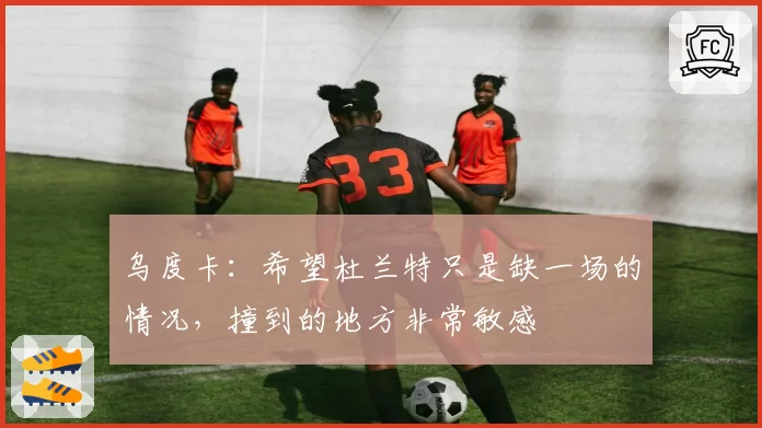 乌度卡:希望杜兰特只是缺一场的情况,撞到的地方非常敏感