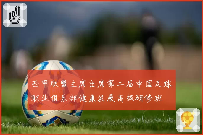 西甲联盟主席出席第二届中国足球职业俱乐部健康发展高级研修班