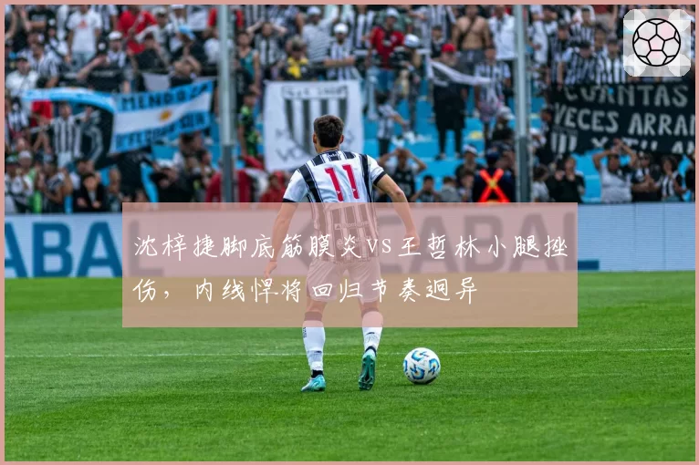 沈梓捷脚底筋膜炎vs王哲林小腿挫伤,内线悍将回归节奏迥异