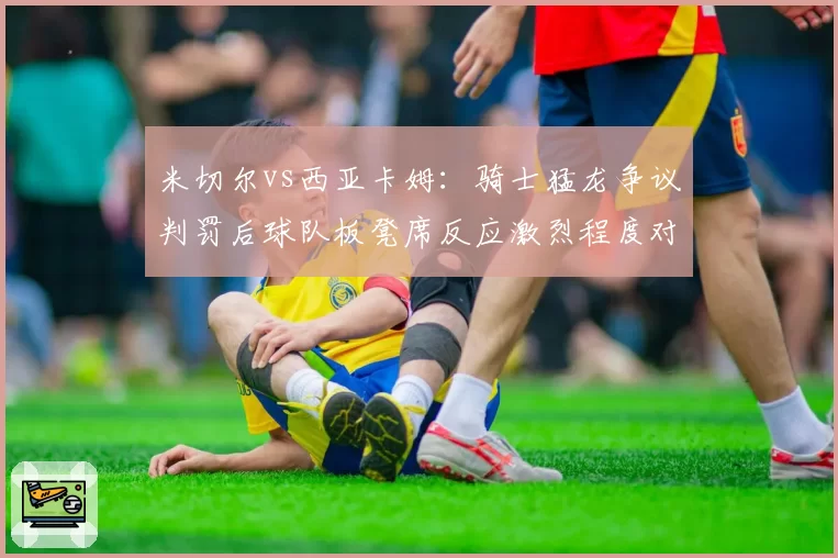 米切尔vs西亚卡姆:骑士猛龙争议判罚后球队板凳席反应激烈程度对比