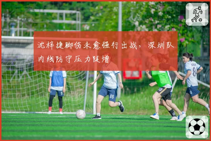 沈梓捷脚伤未愈强行出战，深圳队内线防守压力陡增