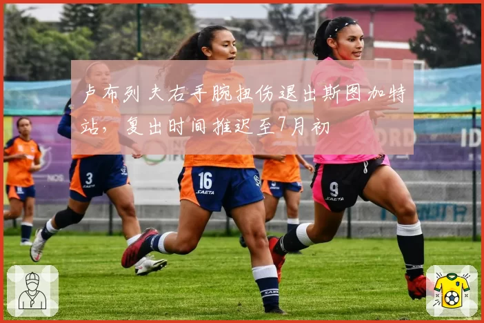 卢布列夫右手腕扭伤退出斯图加特站,复出时间推迟至7月初